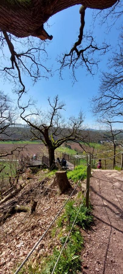 Froschkoenig Mit Teichblick Apartamento Trendelburg Exterior foto