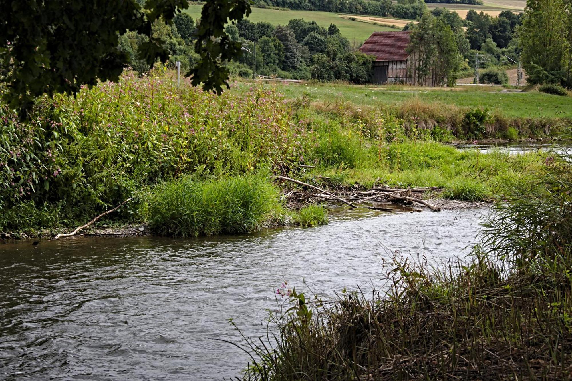 Froschkoenig Mit Teichblick Apartamento Trendelburg Exterior foto
