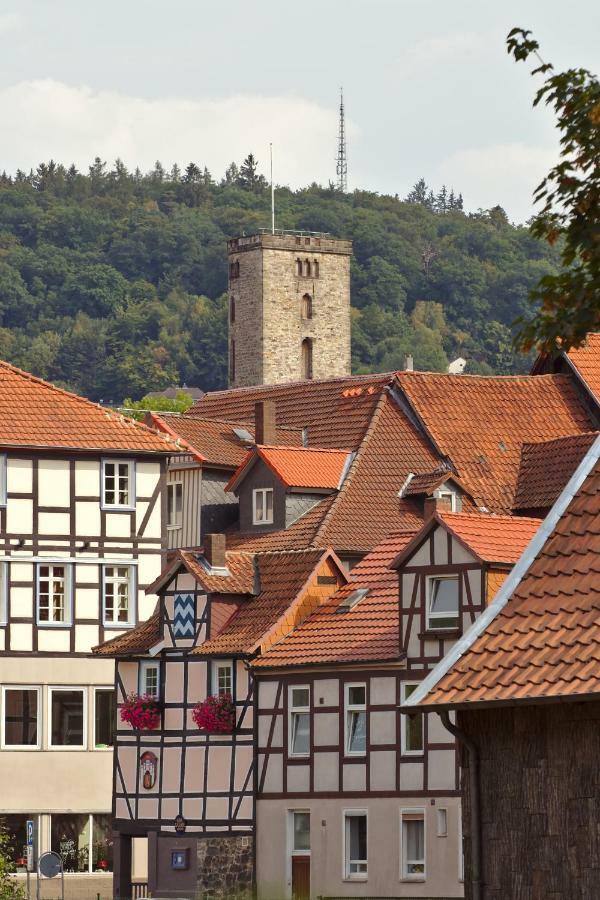 Froschkoenig Mit Teichblick Apartamento Trendelburg Exterior foto